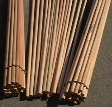 imga0742