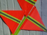 Buggy Whip Flag